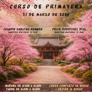 cartel Aikido Primavera